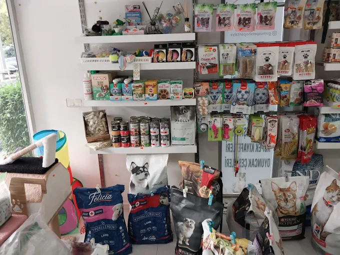 Gümüş Petshop Mağaza İçi - Antalya Meltem