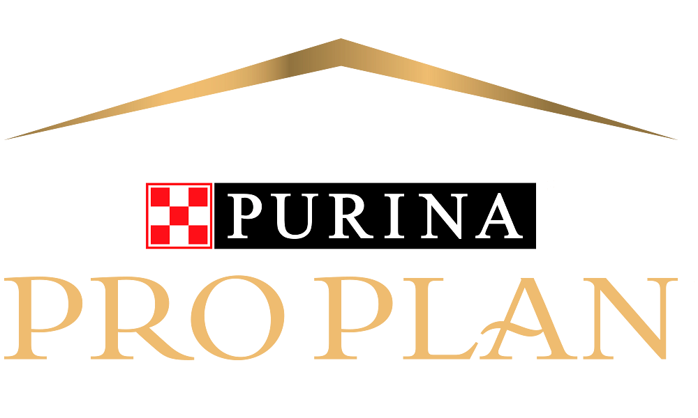 Pro Plan